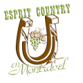 Logo accueil